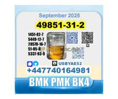 49851-31-2 2-Bromo-1-Phenyl-Pentan-1-One Source factory - Kép 12/12