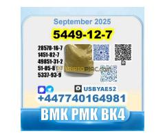 BMK glycidic acid 5449-12-7 PMK 28578-16-7 Source factory