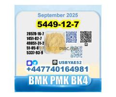 BMK glycidic acid 5449-12-7 PMK 28578-16-7 Source factory