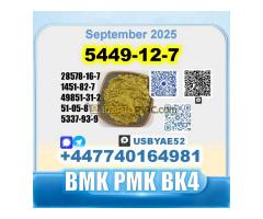BMK glycidic acid 5449-12-7 PMK 28578-16-7 Source factory