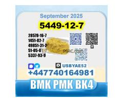 BMK glycidic acid 5449-12-7 PMK 28578-16-7 Source factory - Kép 10/12