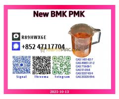Global Send B. M. K  5449-12-7 & p. m. k Oil 28578-16-7