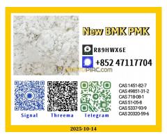 Trusted Origin New 28578-16-7 p.m.k and 1451-82-7