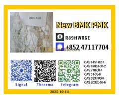 Reliable Associate New p.m.k O.il 28578-16-7 b.m k powder 5449-12-7
