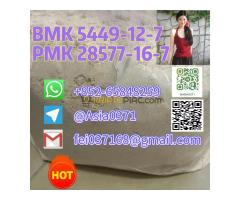 Quickly Ship New BMK Powder CAS 5449-12-7 Holland 5 Days Delivery BMK Glycidate