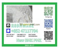 Exceptional Purity New 28578-16-7 and 1451-82-7