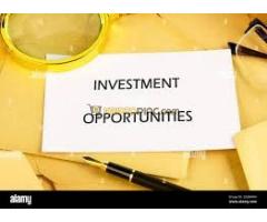 INVESTMENT,INVESTMENT,INVESTMENT, We are looking for a project to invest in
