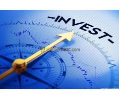 INVESTMENT,INVESTMENT,INVESTMENT, We are looking for a project to invest in - Kép 5/5