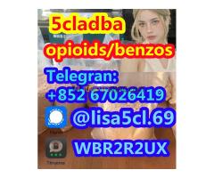 For sale - 5cladba adbb raw material 5CL-ADB-A precursor raw 5cladba 5f adb For sale - 5cladba adbb raw material 5CL-ADB-A precursor raw 5cladba 5f adb