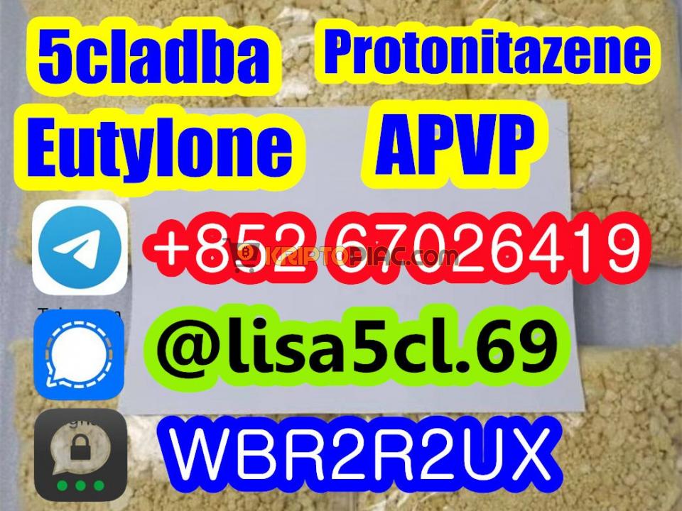 Protonitazene CAS 119276-01-6 - 1/1