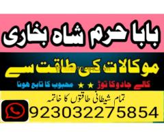 #vashikaranspecialist #astrologer #palmistry #amliyaat #taweez #manpasandshadi #horoscope #spiritual - Kép 7/12