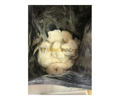 5cladb 5cladba 5cl 5cl adb stronge st cannabinoid - Kép 11/12