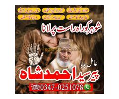 Amil Baba in Vehari, Amil Baba in Toba Tek Singh, Amil Baba in Hafizabad, Amil Baba in Mianwali, Ami - Kép 3/10