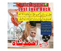 Amil Baba in Vehari, Amil Baba in Toba Tek Singh, Amil Baba in Hafizabad, Amil Baba in Mianwali, Ami - Kép 7/10