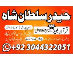 World No1 Amil baba in Pakistan/Usa/Uk/Canada - Kép 9/10