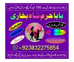 karachi amil baba in italy, amil baba in canada, peer najoomi hindu baba - Kép 3/12