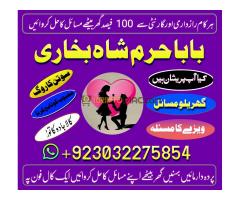 karachi amil baba in italy, amil baba in canada, peer najoomi hindu baba - Kép 9/12