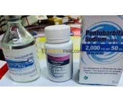 Buy Nembutal sodium  online WhatsApp(+44 7397 620325),Buy weight loss pills online