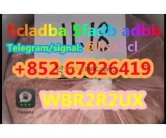 5CL-ADB supplier 5cladba 5cladb vendor on sale