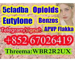 Protonitazene CAS 119276-01-6