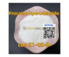 Megbízható prokain hidroklorid gyártó 99% tisztaság globális ajtótóból ajtóra szállítás