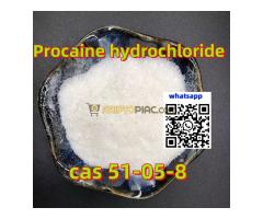 Megbízható prokain hidroklorid gyártó 99% tisztaság globális ajtótóból ajtóra szállítás