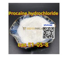 Megbízható prokain hidroklorid gyártó 99% tisztaság globális ajtótóból ajtóra szállítás - Kép 3/12