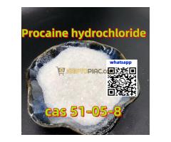 Megbízható prokain hidroklorid gyártó 99% tisztaság globális ajtótóból ajtóra szállítás - Kép 4/12