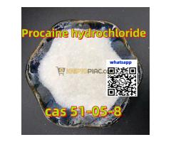 Megbízható prokain hidroklorid gyártó 99% tisztaság globális ajtótóból ajtóra szállítás - Kép 6/12