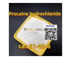 Megbízható prokain hidroklorid gyártó 99% tisztaság globális ajtótóból ajtóra szállítás - Kép 7/12