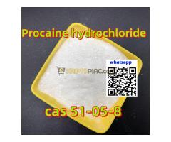 Megbízható prokain hidroklorid gyártó 99% tisztaság globális ajtótóból ajtóra szállítás - Kép 8/12