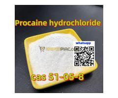 Megbízható prokain hidroklorid gyártó 99% tisztaság globális ajtótóból ajtóra szállítás - Kép 9/12