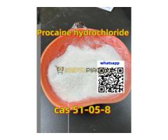 Megbízható prokain hidroklorid gyártó 99% tisztaság globális ajtótóból ajtóra szállítás - Kép 10/12