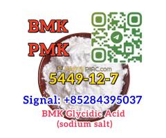 Cas 5449-12-7 New BMK sodium salt stock on sale Europe