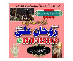 love marriage problem,  love marriage specialist,  love problem,  solution astrologer,  best astrolo