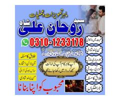 love marriage problem,  love marriage specialist,  love problem,  solution astrologer,  best astrolo