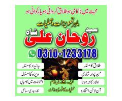 love marriage problem,  love marriage specialist,  love problem,  solution astrologer,  best astrolo - Kép 5/12