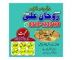 love marriage problem,  love marriage specialist,  love problem,  solution astrologer,  best astrolo - Kép 11/12