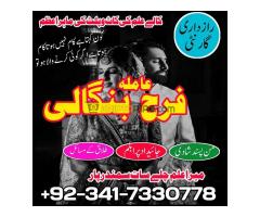 Online amliyat expert for love, divorce, bandish Har mushkil ka hal amil baba ka rohani ilaj - Kép 4/4
