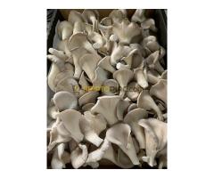 Buy top quality Modafiendz, DMAA, MTTA,Ro 8-4650,G-130,2-MPPP,6-MPM,Isophenmetrazine,PAL-773..Buy 4a - Kép 2/4