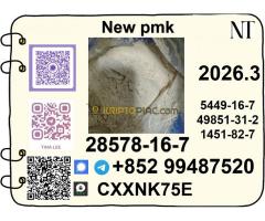 PMK ethyl glycidate 28578-16-7