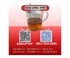 New P.M.K Oil G.lycidate C.as 28578-16-7 Premium Quality 5449-12-7 Chemical Raw Material