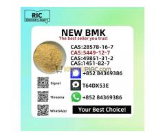 New B.M.K 5449-12-7 1451-82-7 P.M.K 28578-16-7
