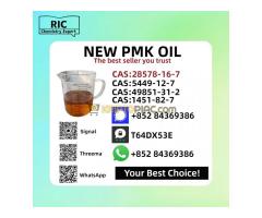 New P.M.K Oil 28578-16-7 Source Factory