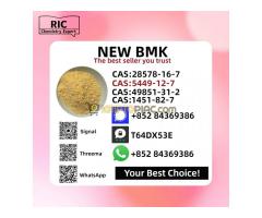 New 5449-12-7 B.MK Powder 28578-16-7 P.MK Oil Doorstep Service