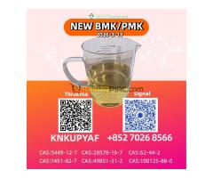B.M.K 5449-12-7 And New 49851-31-2