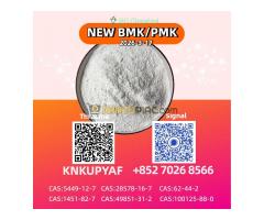 New P.M.K 28578-16-7 B.M.K 5449-12-7 And 49851-31-2