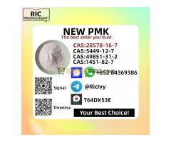 High Purity 99% PM.K Ethyl Gly.cidate Powder CAS 28578-16-7 in stock