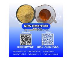 1451-82-7 New B.M.K 5449-12-7 And P.M.K 28578-16-7