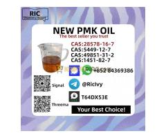 P M K Glycidate Powder | CAS 28578-16-7 | Factory Direct Supply